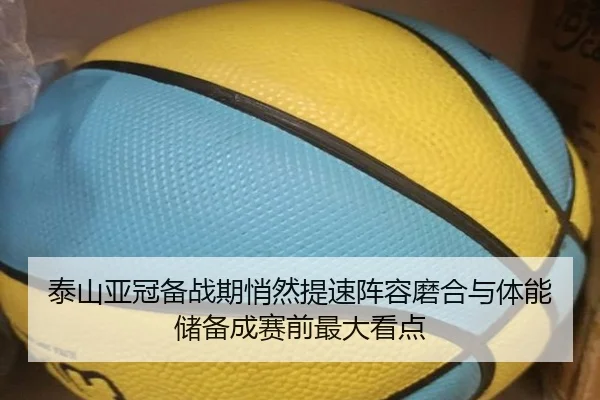 泰山亚冠备战期悄然提速阵容磨合与体能储备成赛前最大看点 | dbcp